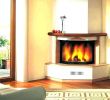 Corner Gas Fireplace Direct Vent Fresh Gas Fireplace Unit Fireplace Design Ideas