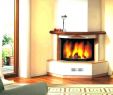 Corner Gas Fireplace Direct Vent Fresh Gas Fireplace Unit Fireplace Design Ideas