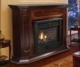 Corner Natural Gas Fireplace Unique New Vent Free Propane Natural Gas Fireplaces Ventless Gas