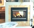 Corner Ventless Propane Fireplace Awesome Double Sided Fireplace Insert – Vintagepro