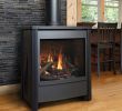 Corner Ventless Propane Fireplace Fresh Kingsman Fdv451 Free Standing Direct Vent Gas Stove