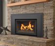 Cost Of Gas Fireplace Insert Awesome Pros & Cons Of Wood Gas Electric Fireplaces