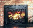 Cost to Convert Fireplace to Gas Lovely Convert Wood Burning Stove to Gas – Dumat