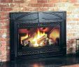 Cost to Convert Wood Burning Fireplace to Gas Unique Convert Wood Burning Stove to Gas – Dumat