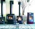 Cost to Install Gas Fireplace In Existing Fireplace Luxury Cost Of Wood Burning Fireplace – Laworks