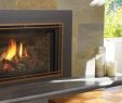 Custom Fireplace Inserts Best Of Gas Fireplace Inserts Regency Fireplace Products