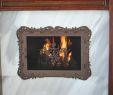 Custom Fireplace Screens Beautiful Custom Door Available In Custom Sizes Designs and Finishes