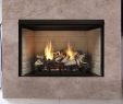 Custom Glass Fireplace Door Luxury Fireplaces & More Vent Free