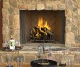 Custom Glass Fireplace Door Luxury Wre6000 Outdoor Products