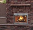 Custom Glass Fireplace Doors Awesome Superior Wre 3000 Pro Series Outdoor Wood Burning Fireplaces