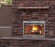 Custom Glass Fireplace Doors Awesome Superior Wre 3000 Pro Series Outdoor Wood Burning Fireplaces