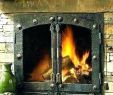 Custom Glass Fireplace Doors Beautiful Wood Burning Fireplace Doors with Blower – Popcornapp