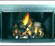 Custom Glass Fireplace Doors Unique Wood Burning Fireplace Doors with Blower – Popcornapp