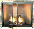 Custom Made Fireplace Screens Best Of Pilgrim Fireplace Screens – Daily Tmeals