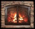 Custom Made Fireplace Screens New 30 Best Ironhaus Doors Images