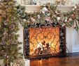 Decorative Fireplace Screens Unique Louviere Fireplace Screen Xmas Mantles