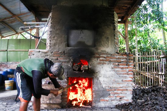 Processing for Clove oil Picture of Janur Bungalow processing for clove
