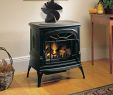 Desa Gas Fireplace Luxury Stove Fan Wood Burning Stove Fan Reviews