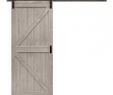 Design Specialties Fireplace Door Beautiful Renin 36