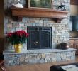 Design Specialties Fireplace Door Best Of 30 Best Ironhaus Doors Images