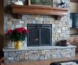 Design Specialties Fireplace Door Best Of 30 Best Ironhaus Doors Images