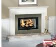 Design Specialties Fireplace Door New Infrared Heater Consumer Reports – Iglesiamontehermon
