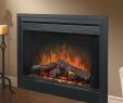 Dimplex Electric Fireplace Insert Luxury Dimplex Electric Fireplace Insert Decor