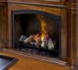 Dimplex Optimyst Electric Fireplace Lovely Elektrokamine Von Dimplex Optimyst Basket Silverton