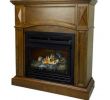 Direct Vent Corner Gas Fireplace Lovely 20 000 Btu 36 In Pact Convertible Ventless Propane Gas Fireplace In Heritage Oak