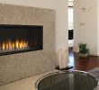 Direct Vent Gas Fireplace Elegant Drl4543 Gas Fireplaces