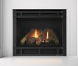 Direct Vent Gas Fireplace Insert New Fireplaces Outdoor Fireplace Gas Fireplaces