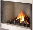 Direct Vent Gas Fireplace Inserts Inspirational Superior 36" Stainless Steel Outdoor Gas Fireplace Front Open