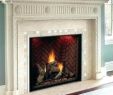 Direct Vent Gas Fireplace Installation Cost Beautiful Fireplace Installation Cost – Durbantainmentfo