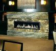 Direct Vent Gas Fireplace Installation Elegant Fireplace Installation Cost – Durbantainmentfo