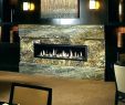 Direct Vent Gas Fireplace Installation Elegant Fireplace Installation Cost – Durbantainmentfo
