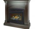 Direct Vent Propane Fireplace Luxury 36 In 20 000 Btu Pact Convertible Ventless Natural Gas Fireplace In tobacco