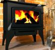 Direct Vent Wood Burning Fireplace Lovely Direct Vent Wood Burning Stove Od 8 Metal Chimney Conversion