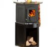 Door for Fireplace Best Of Kaminofen Globe Fire Pluto 5 Kw