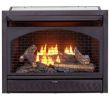 Double Sided Gas Fireplace Insert Awesome Gas Fireplace Inserts Fireplace Inserts the Home Depot