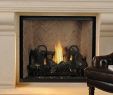 Double Sided Gas Fireplace Prices New astria Fireplaces & Gas Logs