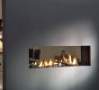 Double Sided Wood Burning Fireplace Insert Awesome Two Sided Wood Burning Fireplace – Cursodeteologiafo