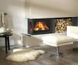 Double Sided Wood Burning Fireplace Insert Fresh Corner Wood Burning Fireplace Inserts with Blower Product