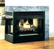 Double Sided Wood Burning Fireplace Insert Fresh M Design Double Sided Wood Burning Stove Stoves Heating