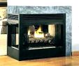 Double Sided Wood Burning Fireplace Insert Fresh M Design Double Sided Wood Burning Stove Stoves Heating