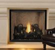 Double Sided Wood Burning Fireplace Insert Luxury astria Fireplaces & Gas Logs