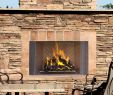 Double Sided Wood Burning Fireplace Insert New oracle