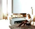 Dual Fireplace Fresh Dual Room Fireplace Fireplace Design Ideas