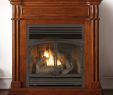 Dual Fireplace Unique Duluth forge Dual Fuel Ventless Fireplace 32 000 Btu