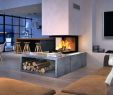 Dual Sided Fireplace Elegant Dual Room Fireplace Fireplace Design Ideas