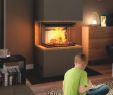 E Fireplace Store Awesome Hajduk Kaminbausatz Preiswert Kaufen